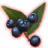 ON-icon-misc-Onyx Berries of Growth.png