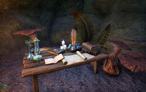 ON-quest-The Summer Site 03.jpg