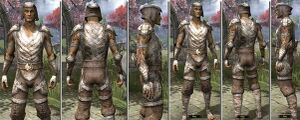 ON-item-armor-Rawhide-Bosmer-Male.jpg