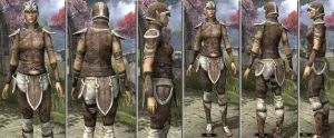 ON-item-armor-Rawhide-f-Altmer Style.jpg