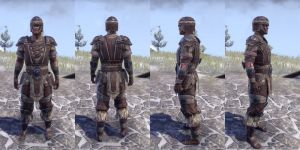 ON-item-armor-Cotton-Jerkin-Nord-Male.jpg