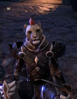 ON-npc-Razum-dar 10.jpg