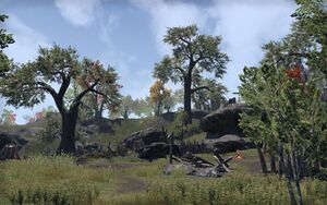 ON-place-Toad-Tongue War Camp.jpg