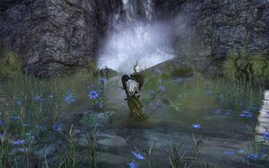 ON-quest-Reclaiming the Elements 05.jpg