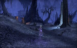 ON-quest-Through the Daedric Lens 02.jpg