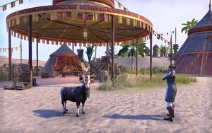 ON-quest-The Everlasting Fair 04.jpg