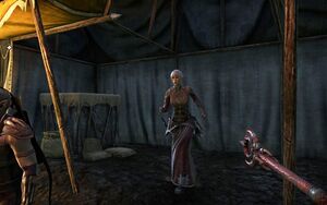 ON-quest-The Honor of the Queen 10.jpg