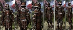 ON-item-armor-Rawhide-f-Ebonheart Pact.jpg