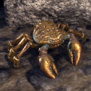 ON-pet-Prodigious Brass Mudcrab.jpg