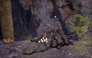 ON-quest-Ancestral Ties 04.jpg