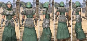 ON-item-armor-Homespun-f-Shield of Senchal Style.jpg