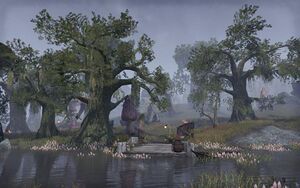 ON-place-Coiled Path Landing.jpg