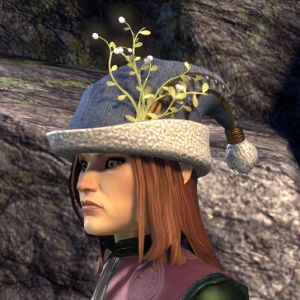 New Life Festival Cap.jpg