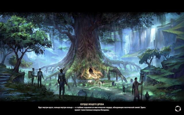 Вещее древо Белдамы — Википедия по игре The Elder Scrolls Online