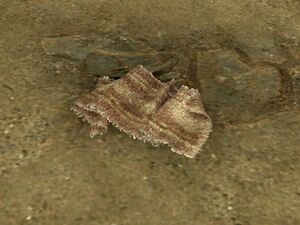 ON-node-Torn Cloth.jpg