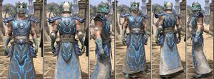 ON-item-armor-Homespun-m-Dro-m'Athra Style.jpg