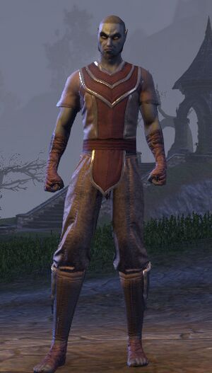 ON-item-disguises-Sea Drake Garb.jpg