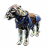 ON-icon-mount-Psijic Senche Exemplar.png