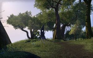 ON-place-The Tower (Grahtwood).jpg