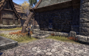 ON-place-Riften Outlaws Refuge.jpg