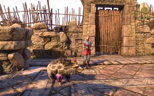 ON-quest-The Everlasting Fair 03.jpg