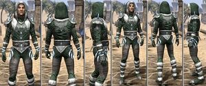 ON-item-armor-Homespun-m-Stalhrim Frostcaster Style.jpg