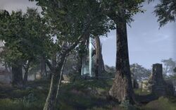 ON-place-3-Blackwood Skyshard.jpg