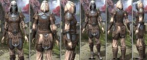 ON-item-armor-Rawhide-f-Trinimac Style.jpg