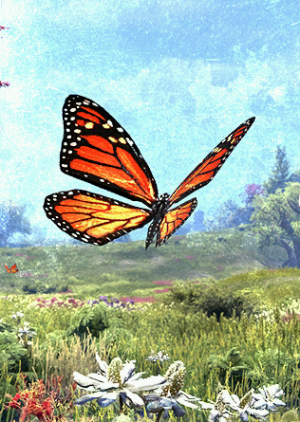 ON-card-Monarch Butterfly.png