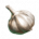 ON-icon-food-Garlic.png