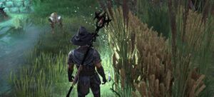 ON-quest-Candleflies for the Dead 07.jpg