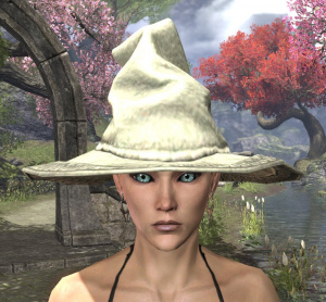 ON-hat-Witch's Infernal Hat.jpg