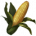 ON-icon-food-Corn.png