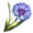 ON-icon-reagent-Corn Flower.png