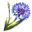 ON-icon-reagent-Corn Flower.png