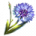 ON-icon-reagent-Corn Flower.png