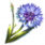 ON-icon-reagent-Corn Flower.png