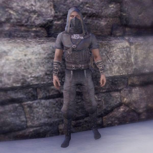 ON-costume-Crafty Lerisa's Thief Outfit (Male).jpg