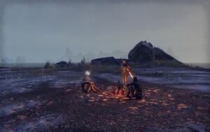 ON-interier-Northern Watch Ritual Site 01.jpg