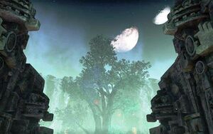 ON-quest-Tides of the Heart 12.jpg