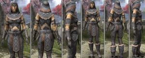 ON-item-armor-Homespun-f-Malacath Style.jpg