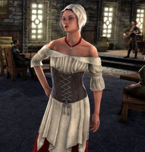 ON-costume-Tavern Maid.png