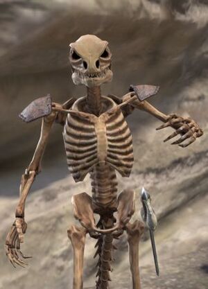 ON-npc-Captain One-Eye 01.jpg