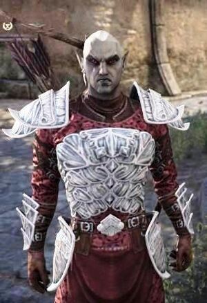 ON-quest-Sergeant Faldrus.jpg