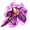 ON-icon-reagent-Nightshade.png