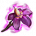 ON-icon-reagent-Nightshade.png