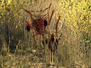 ON-node-Ancestor Silk.jpg