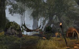 ON-place-Deepwoods 01.jpg