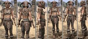 ON-item-armor-Rawhide-f-Draugr Style.jpg