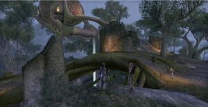 ON-place-5-Greenshade Skyshard.jpg